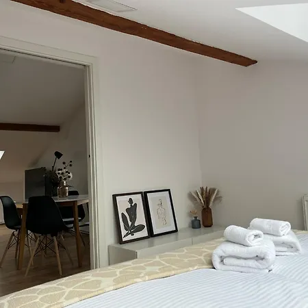 Apartment Dormidare Mlada Boleslav