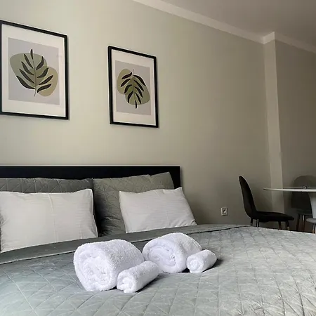 Apartment Dormidare Mlada Boleslav